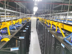 長沙專業(yè)上門搭建網(wǎng)絡(luò) 建設(shè)機(jī)房 舊機(jī)房升級(jí)改造